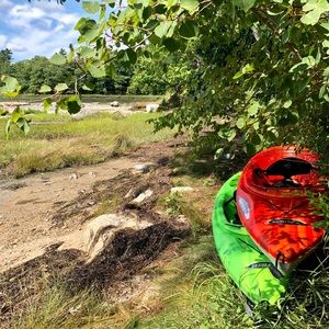 Meet your Posher, Pam